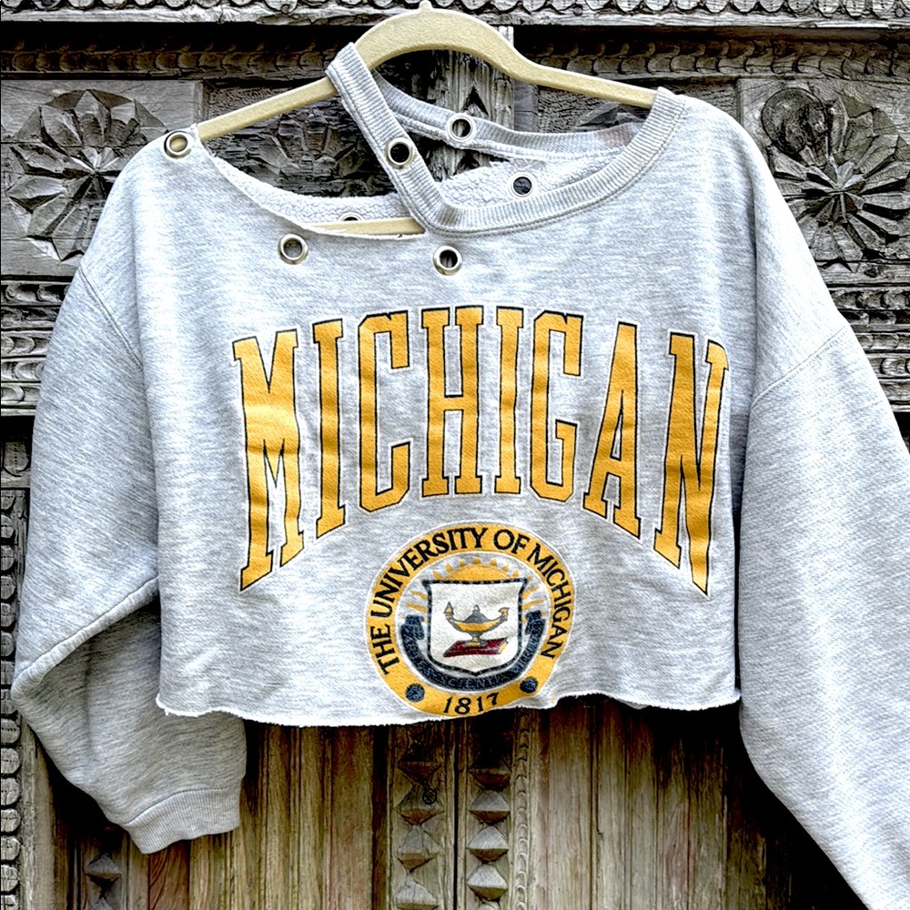 Gray Michigan Cropped Sweatshirt NWT